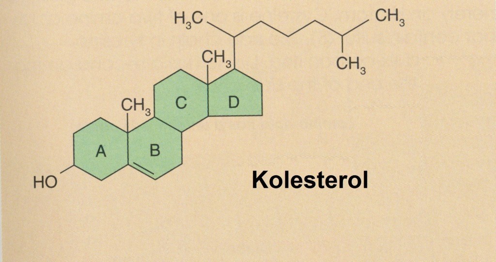 kolesterol molekyl
